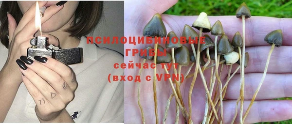 ГАЛЛЮЦИНОГЕННЫЕ ГРИБЫ Абдулино