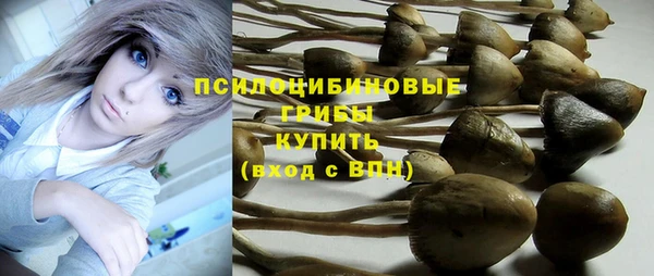стафф Абинск