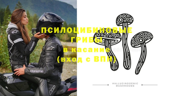 стафф Абинск