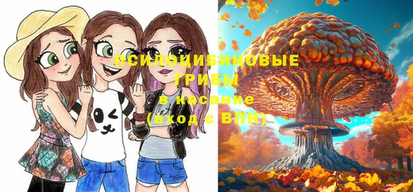 стафф Абаза
