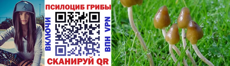 Галлюциногенные грибы прущие грибы  как найти   Ртищево 